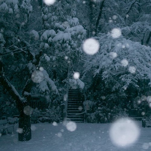First Snow - Single