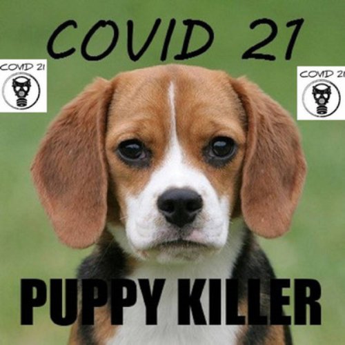 Puppy Killers - Single