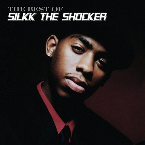 The Best of Silkk the Shocker