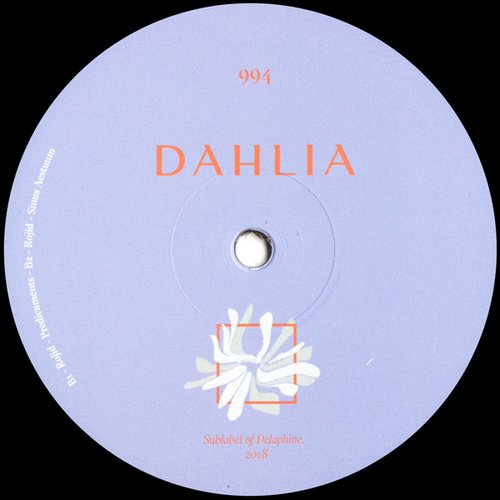 DAHLIA 994