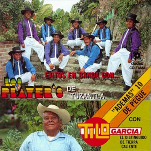 Exitos en Banda Con...