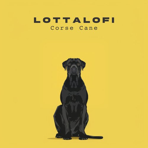 Lottalofi