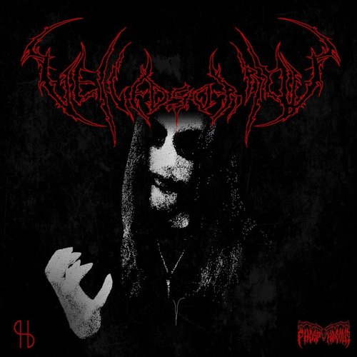 Veiled Sorrow
