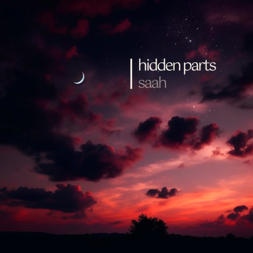 hidden parts