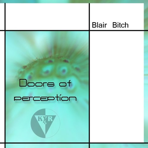 Doors of perception