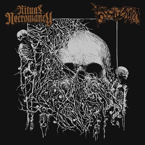 Ritual Necromancy / Fossilization