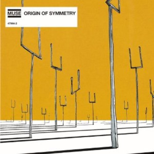 Origin Of Symmetry (advance)