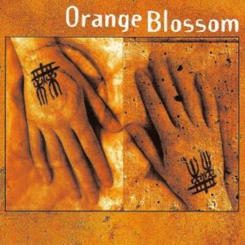 Orange Blossom