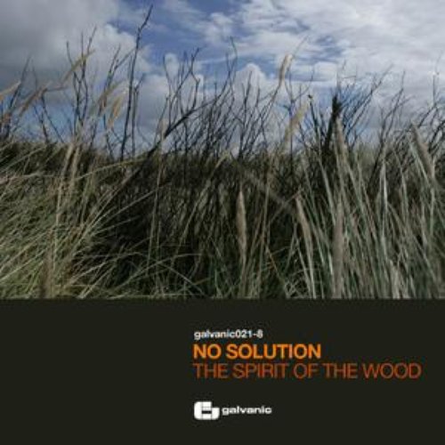 The Spirit Of The Wood