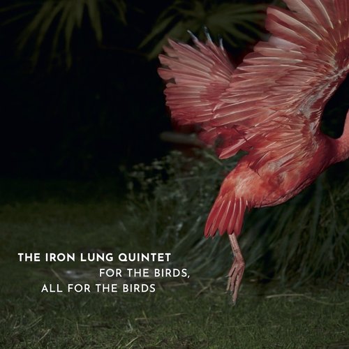 For The Birds, All For The Birds
