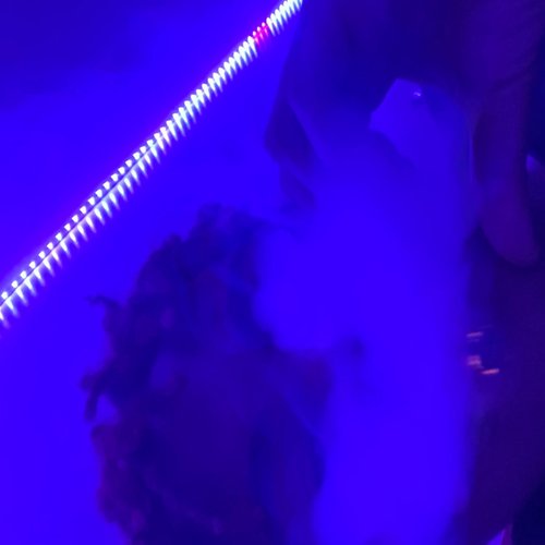 South ! - Single