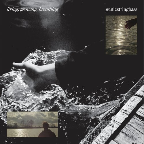 Living, Growing, Breathing