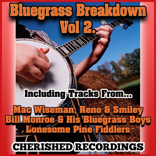 Bluegrass Breakdown Vol 2
