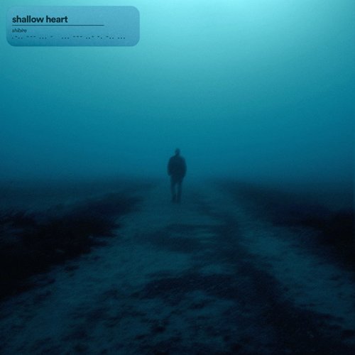 shallow heart