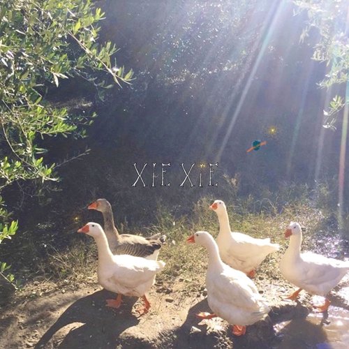 XIEXIE / 33