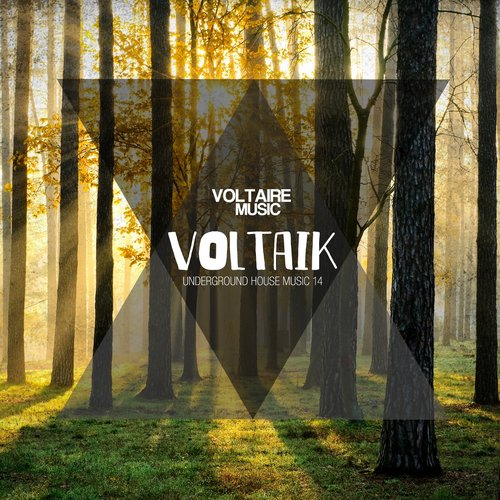 Voltaik, Vol. 14