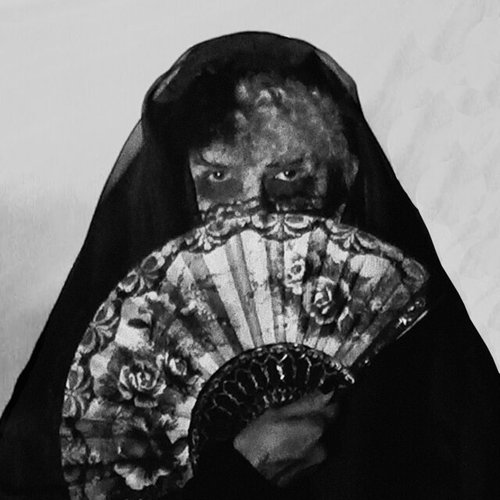 Vestida de Niebla