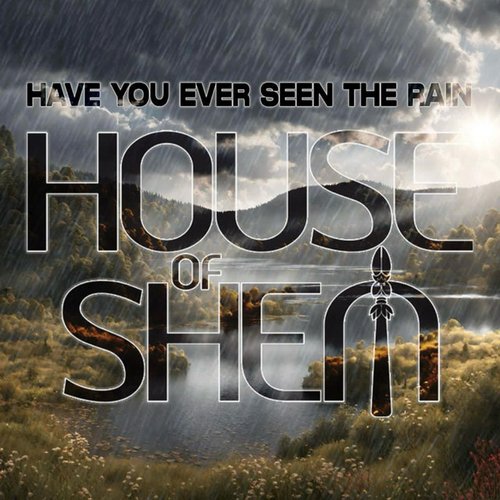 Have You Ever Seen The Rain