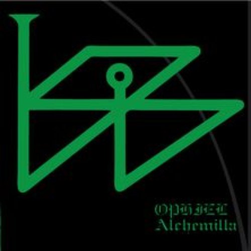 Alchemilla