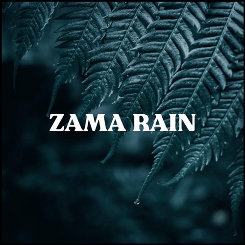 Rain and Birdsong