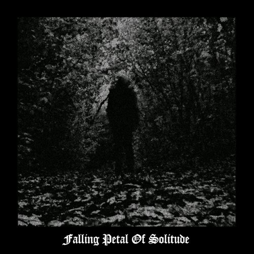 Falling Petal of Solitude