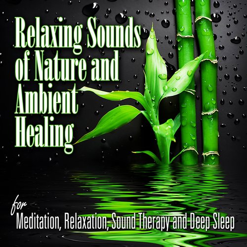 Relaxing Sounds of Nature and Ambient Healing for Mediation, Relaxation, Sound Therapy and Deep Sleep