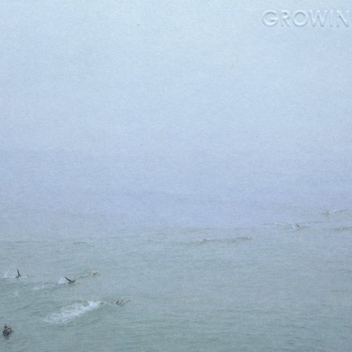 The Sky’s Run Into the Sea