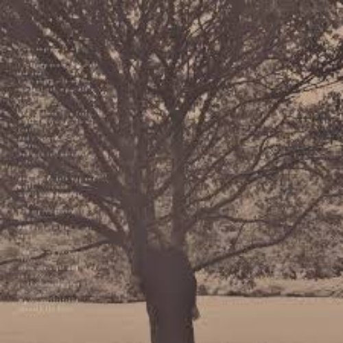 A Poison Tree