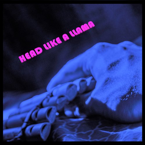 Head Like a Llama