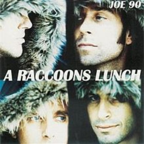 A Racoon's Lunch