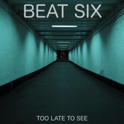 Too Late To See - Single