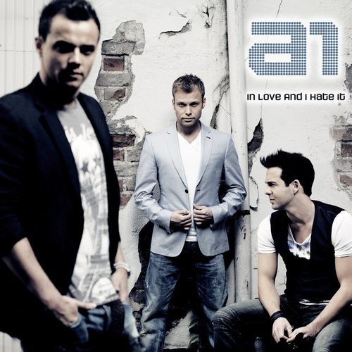 In Love and I Hate It - Single