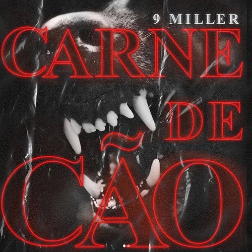 Carne de Cão