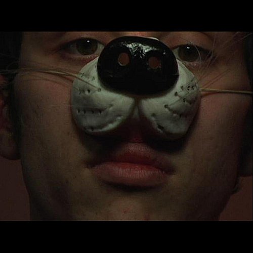 I Like It Ruff - Single