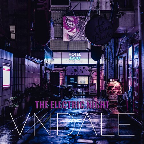 The Electric Night