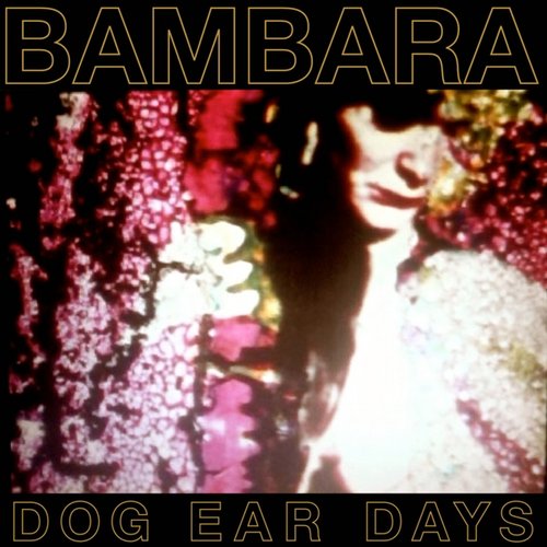 Dog Ear Days