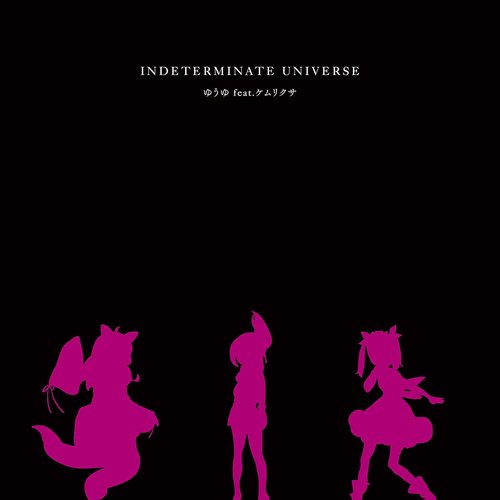 INDETERMINATE UNIVERSE