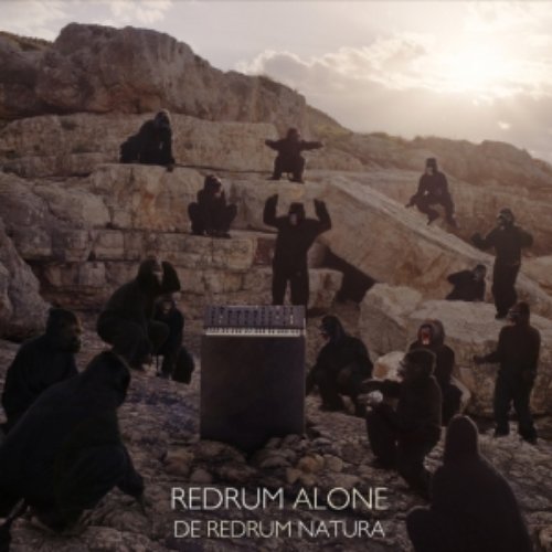 De Redrum Natura
