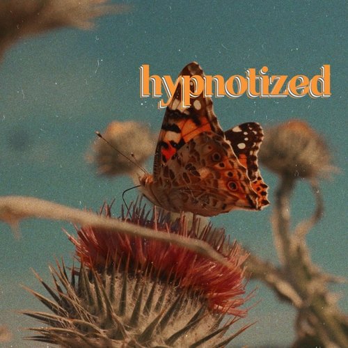 Hypnotized