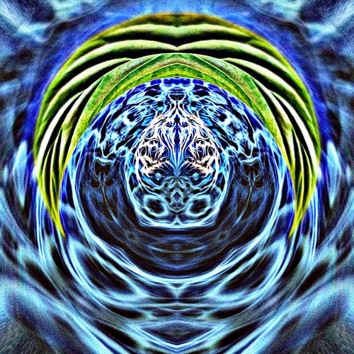 12g of Kratom Phonk