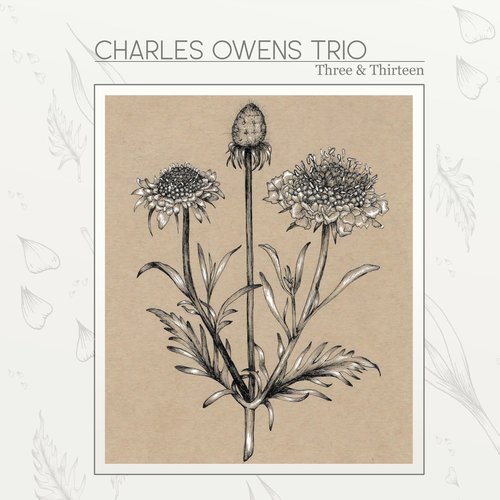 Three and Thirteen