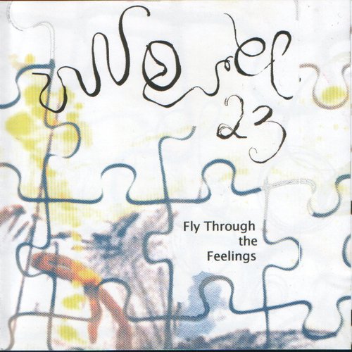 Fly Through The Feelings