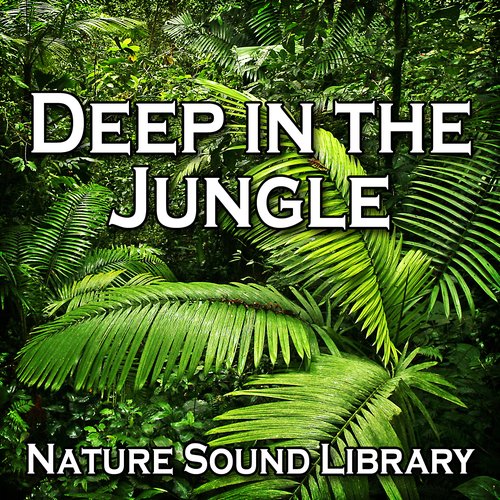 Deep in the Jungle (Nature Sounds for Deep Sleep, Relaxation, Meditation, Spa, Sound Therapy, Studying, Healing Massage, Yoga and Chakra Balancing)