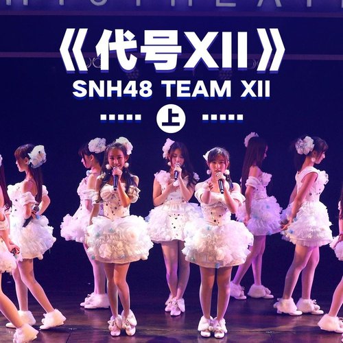 代号XII