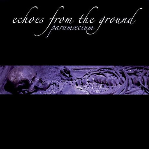 Echoes From the Ground
