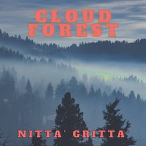 Cloud Forest