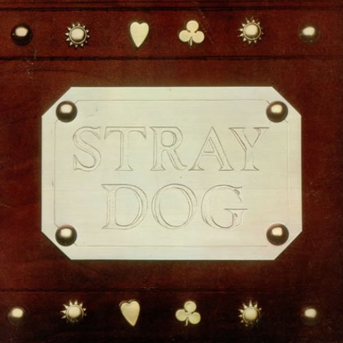 Stray Dog