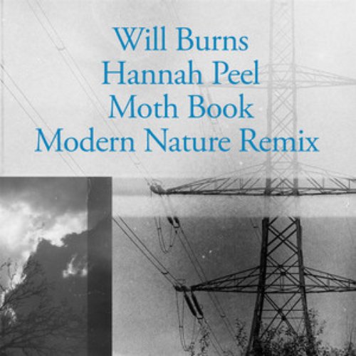 Moth Book - Single