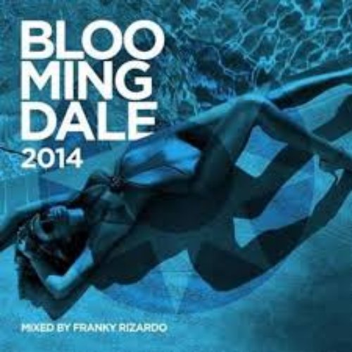Bloomingdale 2014 (Mixed By Franky Rizardo)