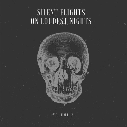 Silent Flights on Loudest Nights Vol. 2